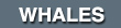 1_whales menu button