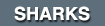 2_sharks menu button