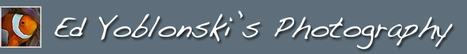 Ed Yoblonski Photography Header Image