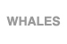 bottom menu 1_whales button