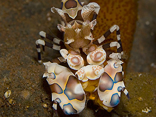 full-size image of thumbnail