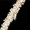 Whip Coral Shrimp