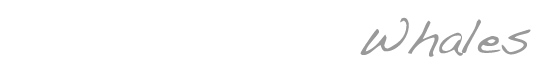 Welcome to Whale info header